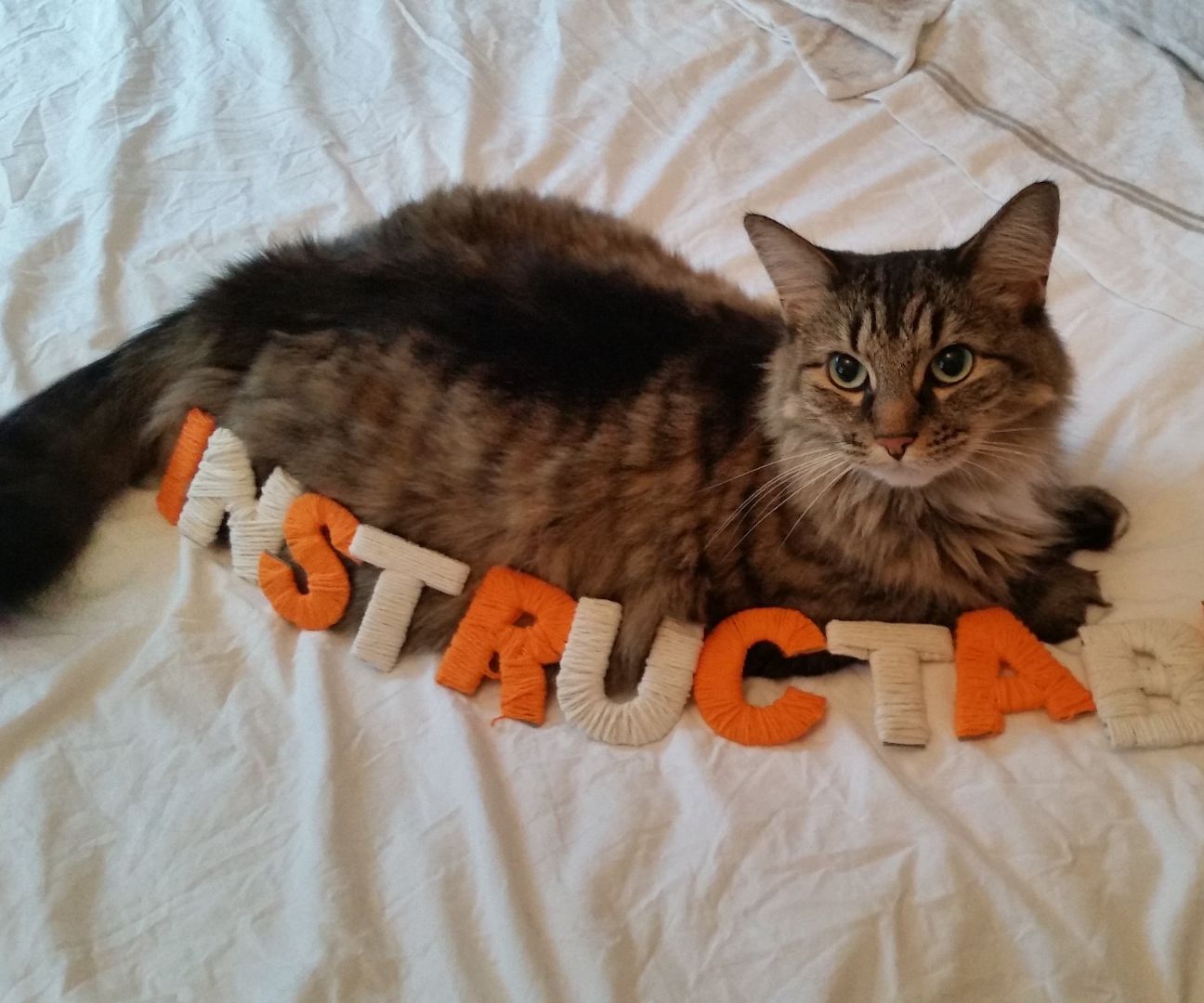 How to Wrap Yarn Like a Boss Using Your 3D Printer