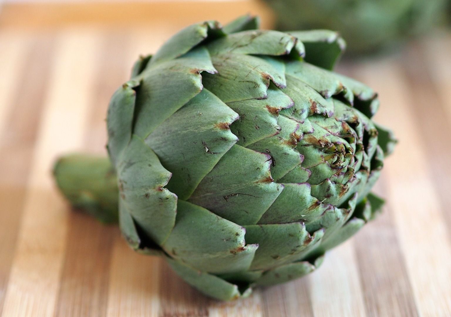 Are Artichoke Hearts Bad For Dogs