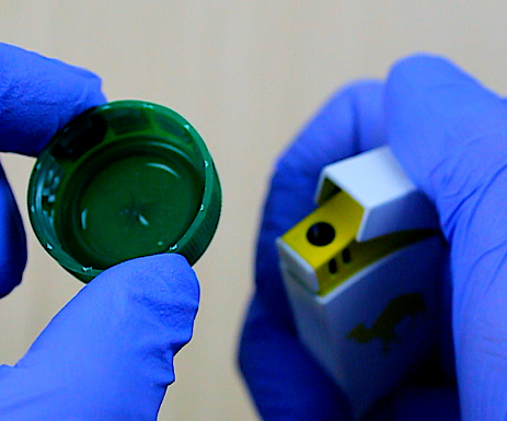 What Can Be Made of Bottle Lids?