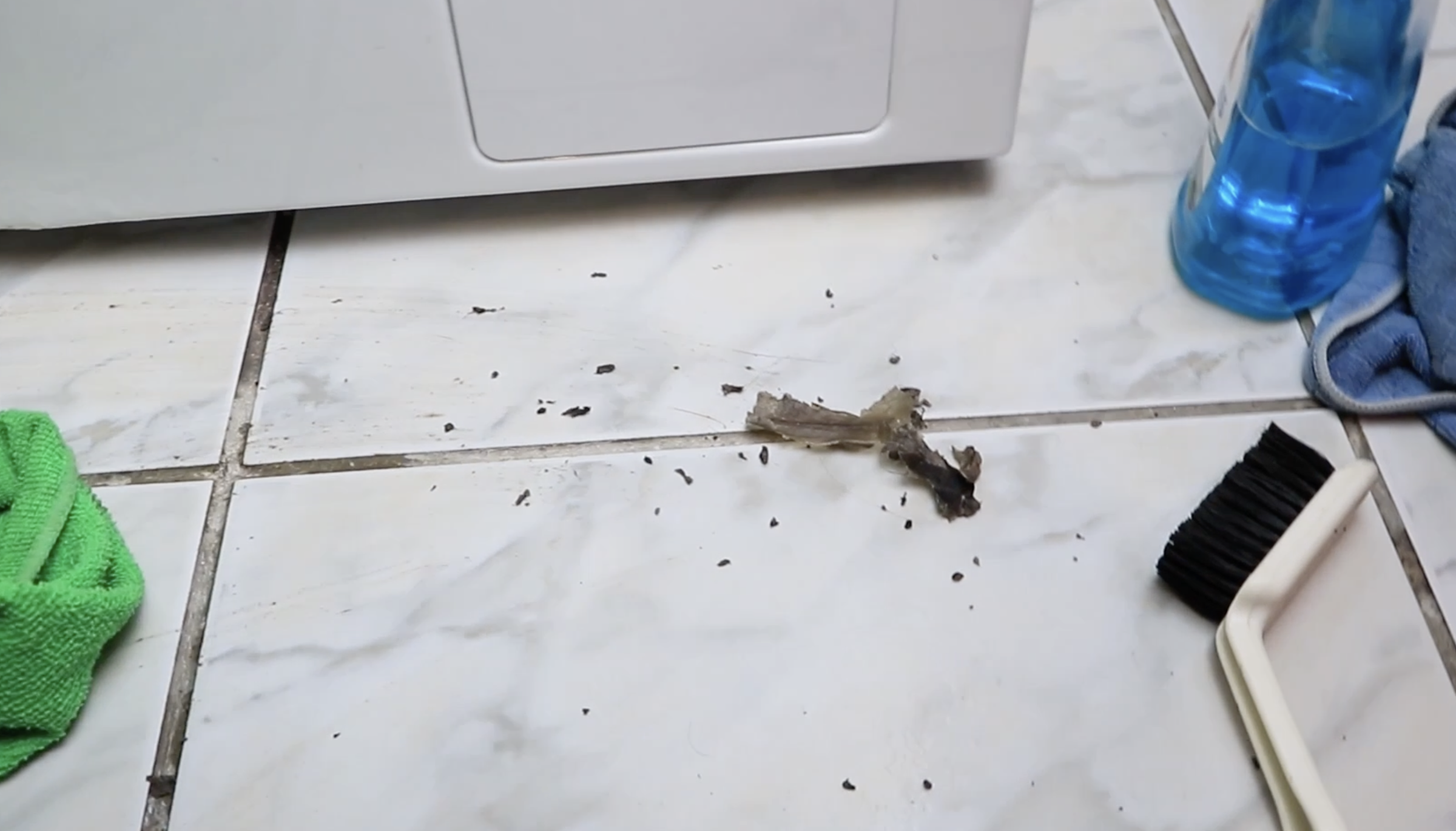 How to Clean a Smelly Washing Machine 5 Steps (with Pictures) Instructables