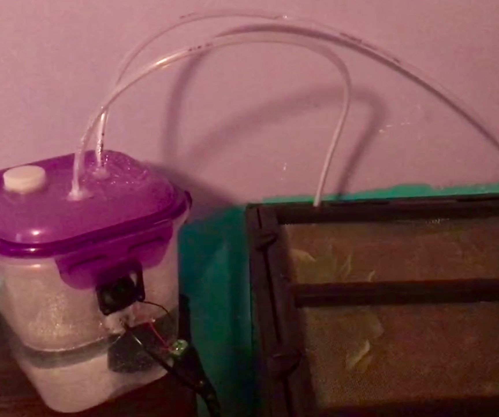 DIY Gecko Humidifier