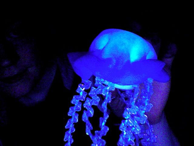 LED Jellies