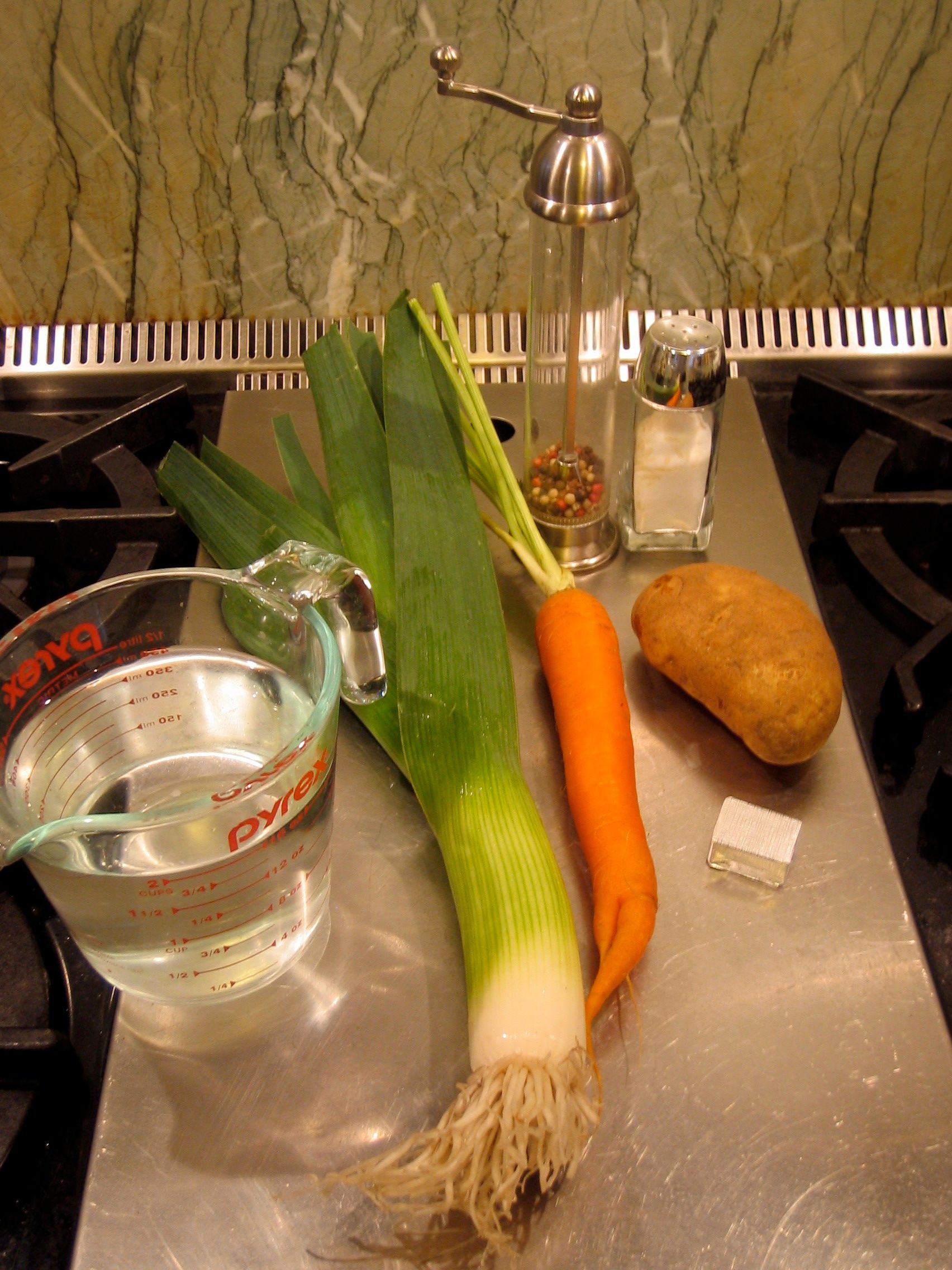 Plant Biology - Root Soup