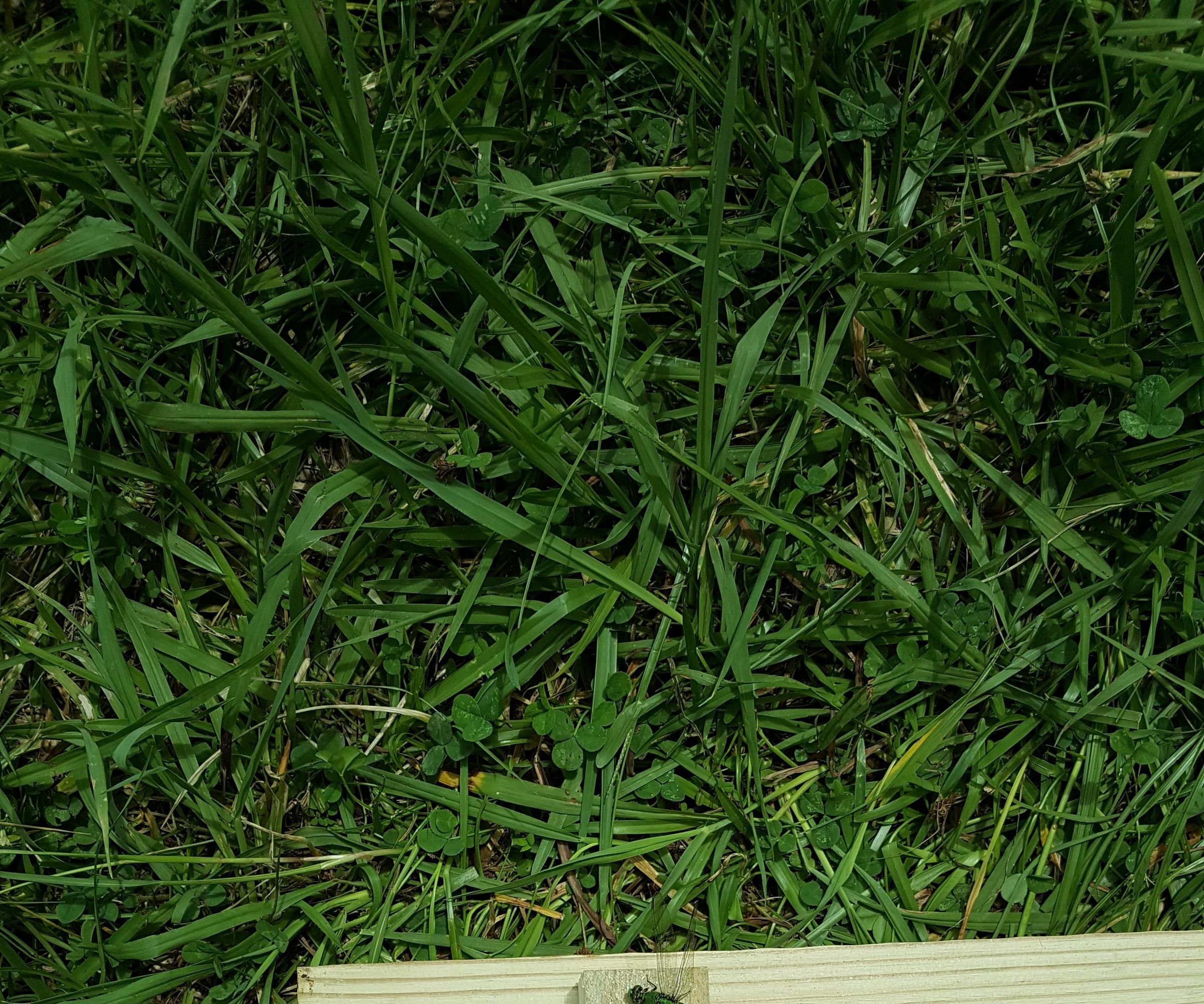 Reinforcing Heavy Frame Corners/Joints