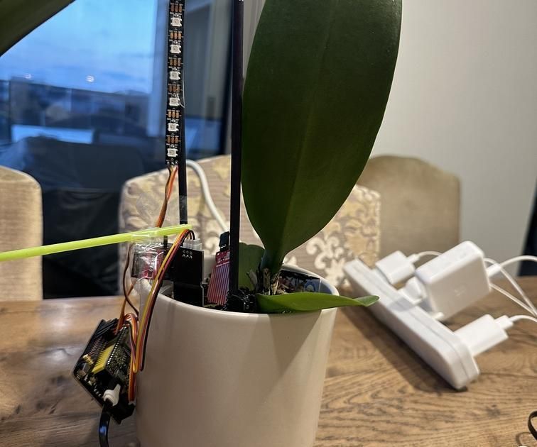 Building and Creating an Indoor Plant-Care System