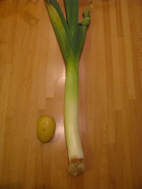 Simple Leeks and Potatoes Soup
