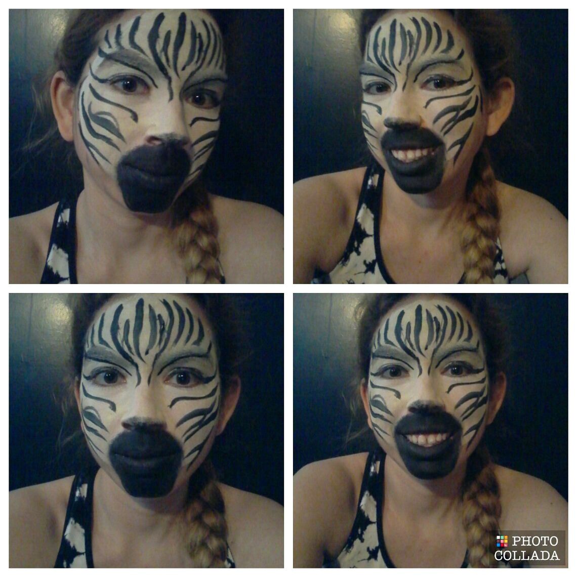 Zebra Face Paint Instructables