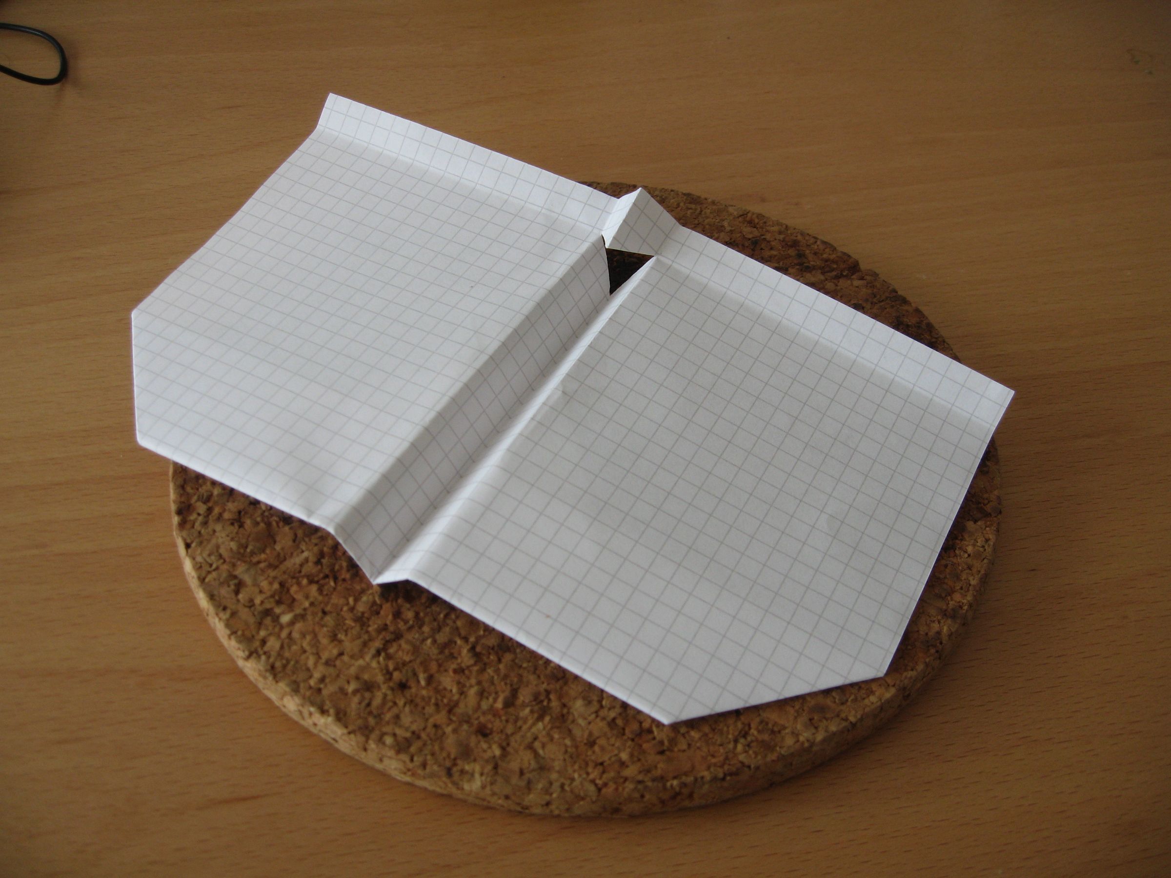 Toss It! Speed Challenge _ Paper Plane : the Unthrown One