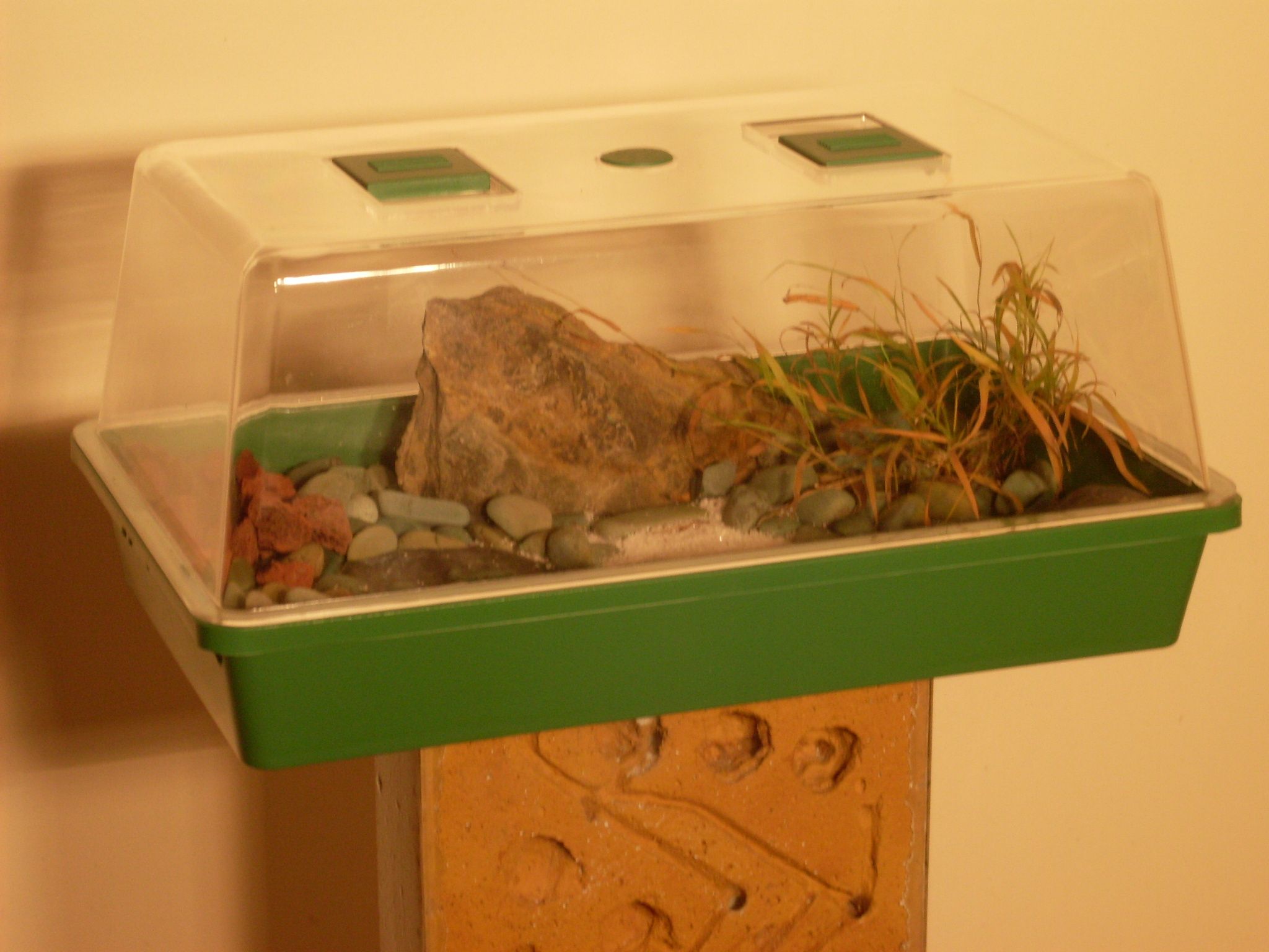 3 Foot Tall Ant Nest with Foraging Area- Authentic Natural Simulation