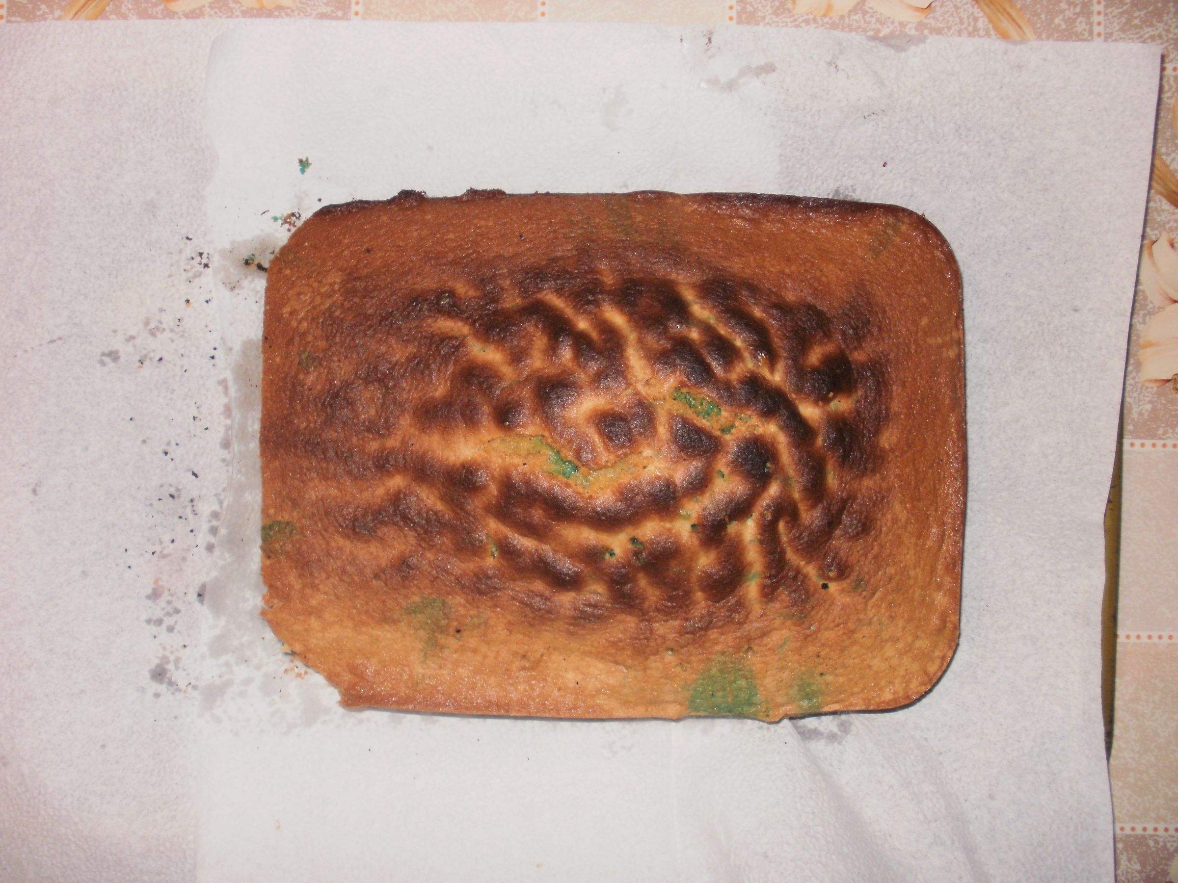 Moldy Cake 5 Steps Instructables