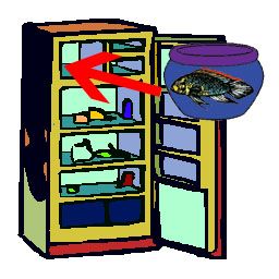Domestic Animals - Fish