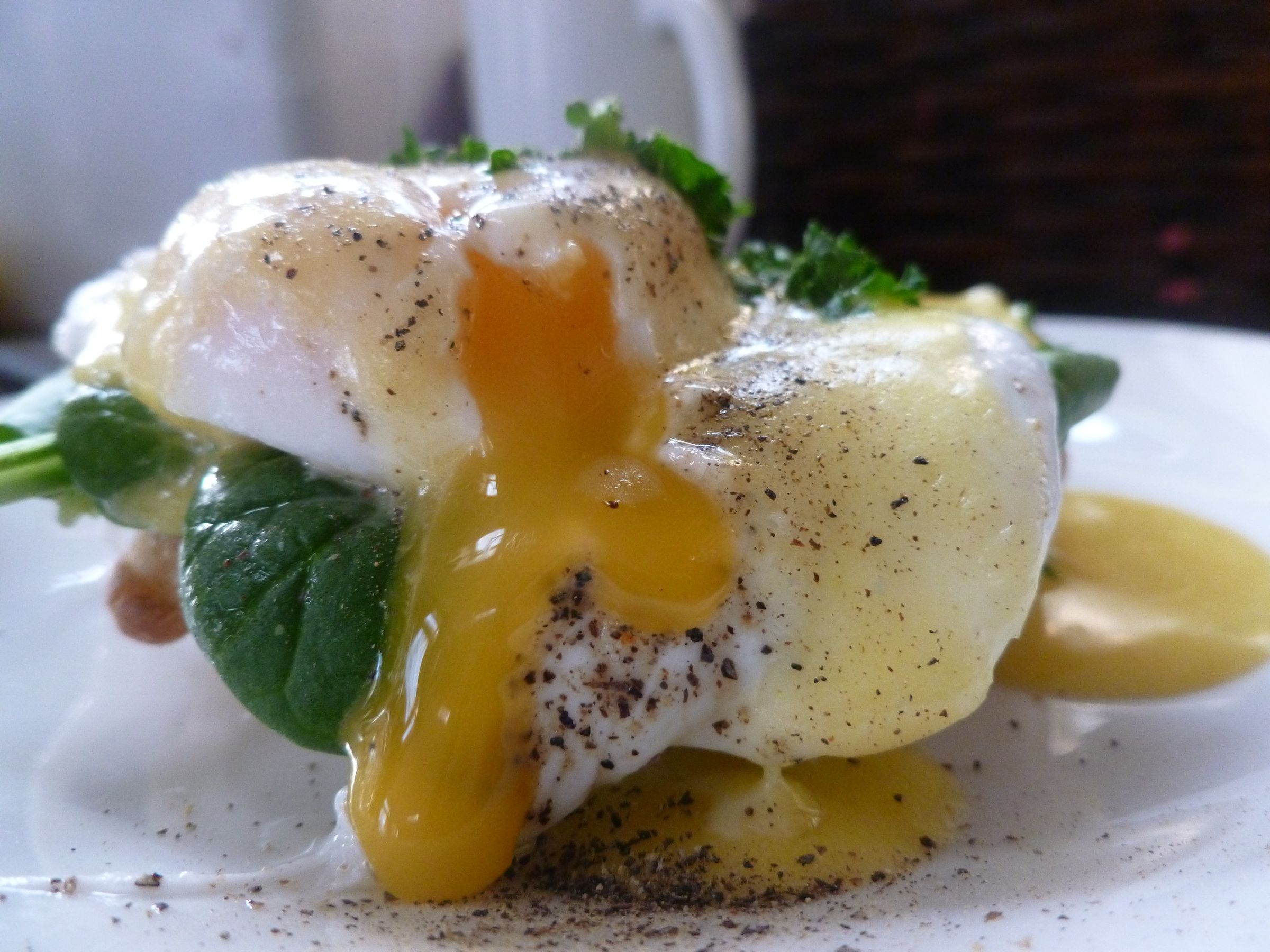 Eggs Florentine