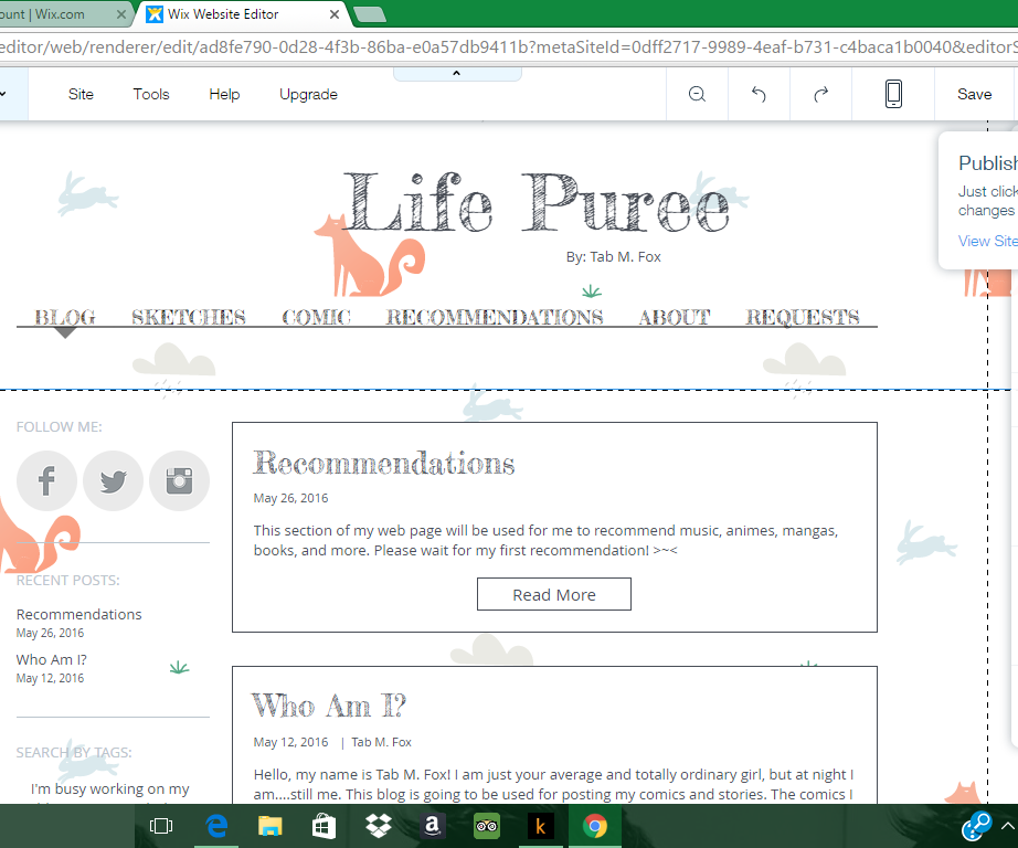 Website and Domain