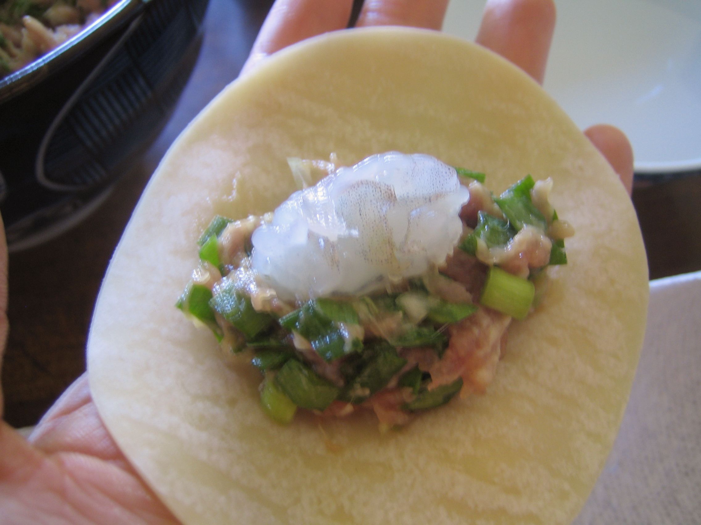 How to Make Potstickers From Scratch! 6 Steps (with Pictures