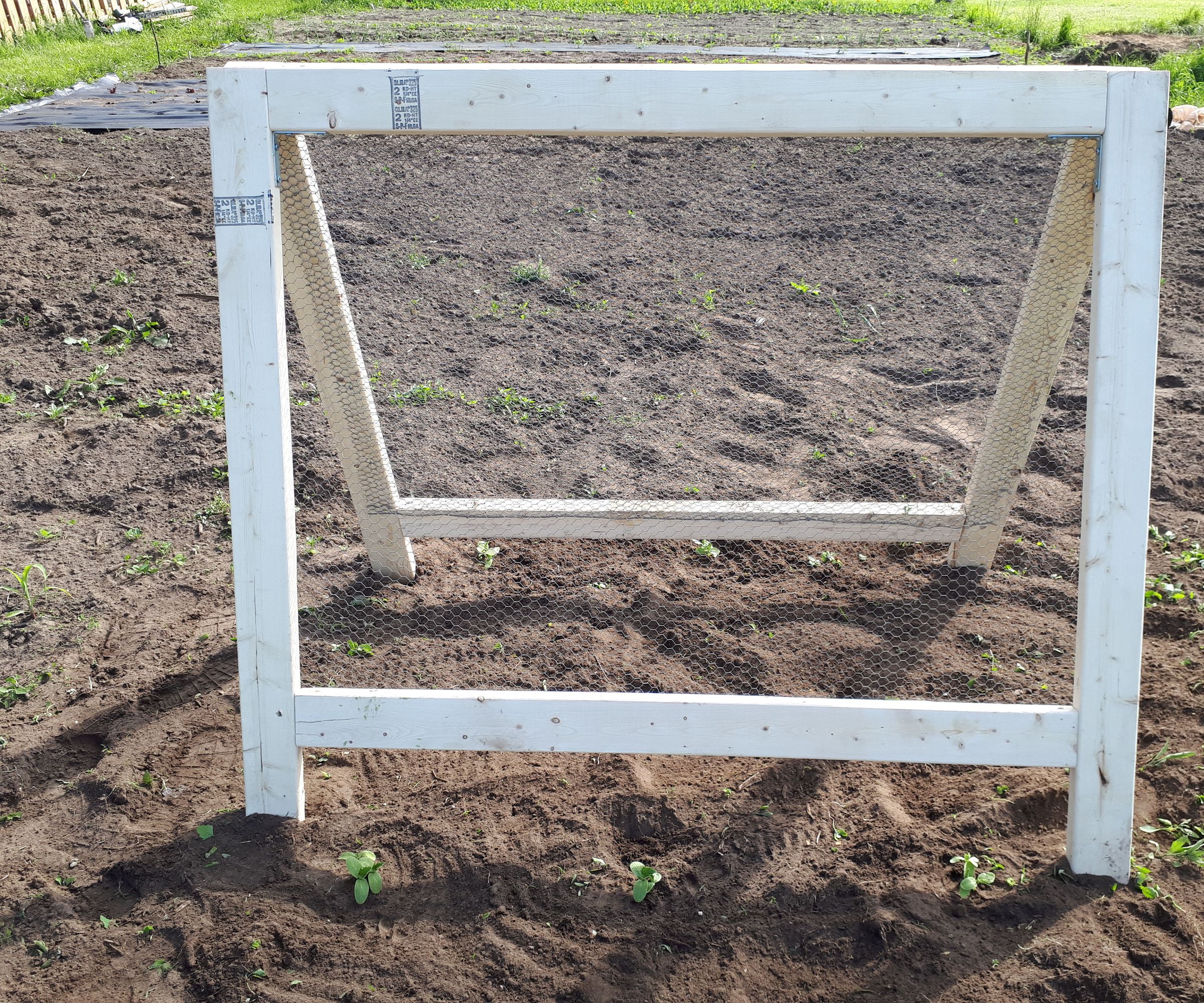 Cucumber Trellis