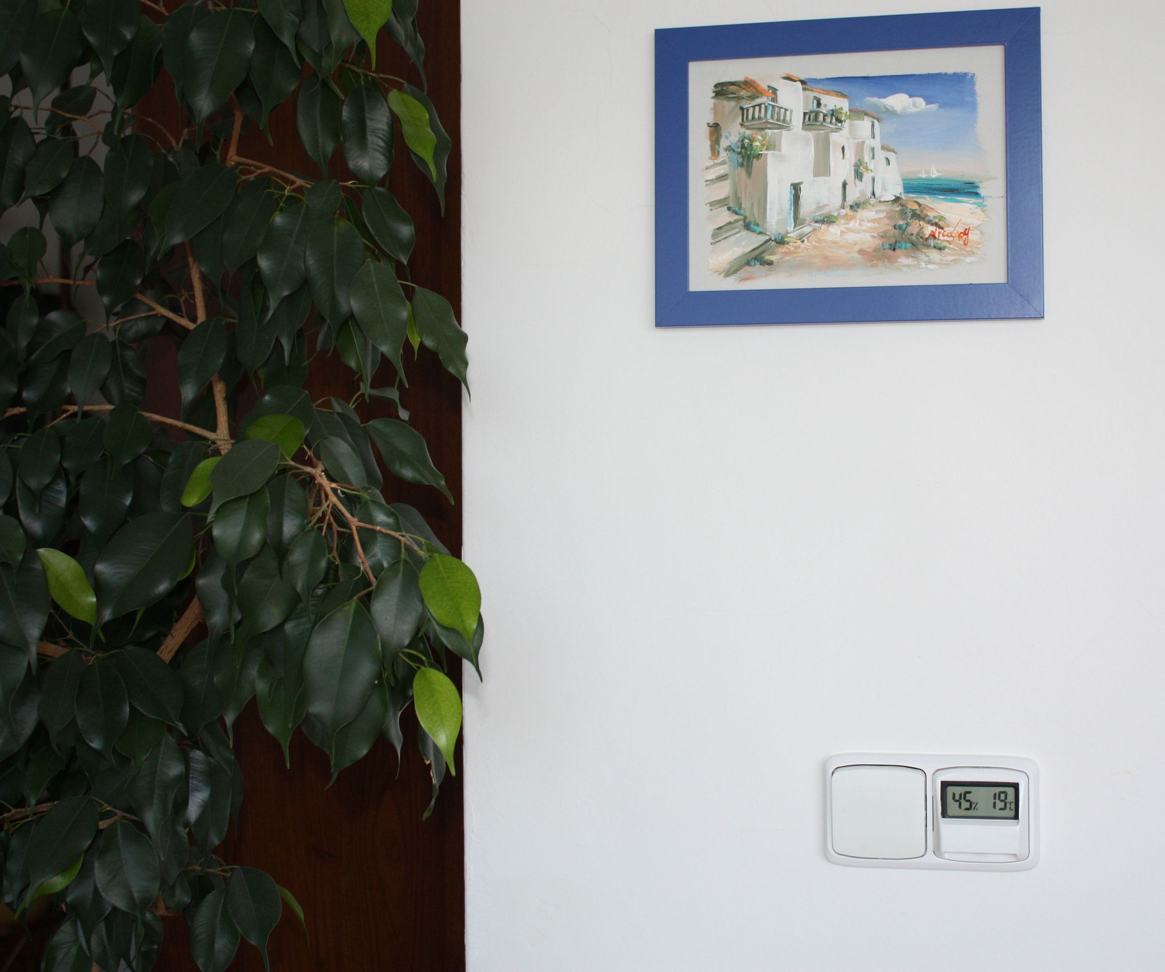 Thermometer in Wall Light Switch