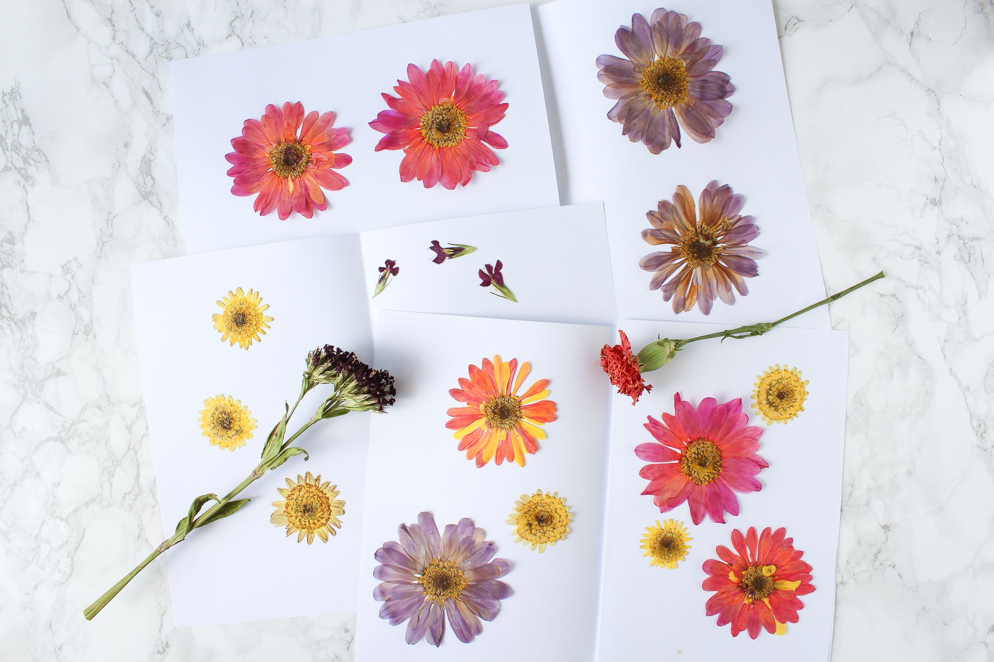 How to Press and Dry Flowers (and Leaves!) 8 Steps (with Pictures