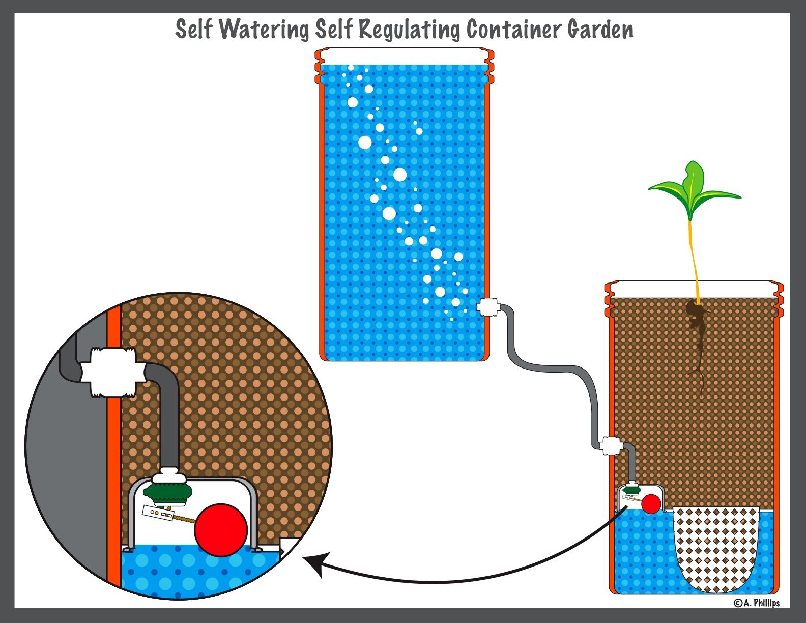 Zero Power, Self-Watering, Self-Regulating Container Garden