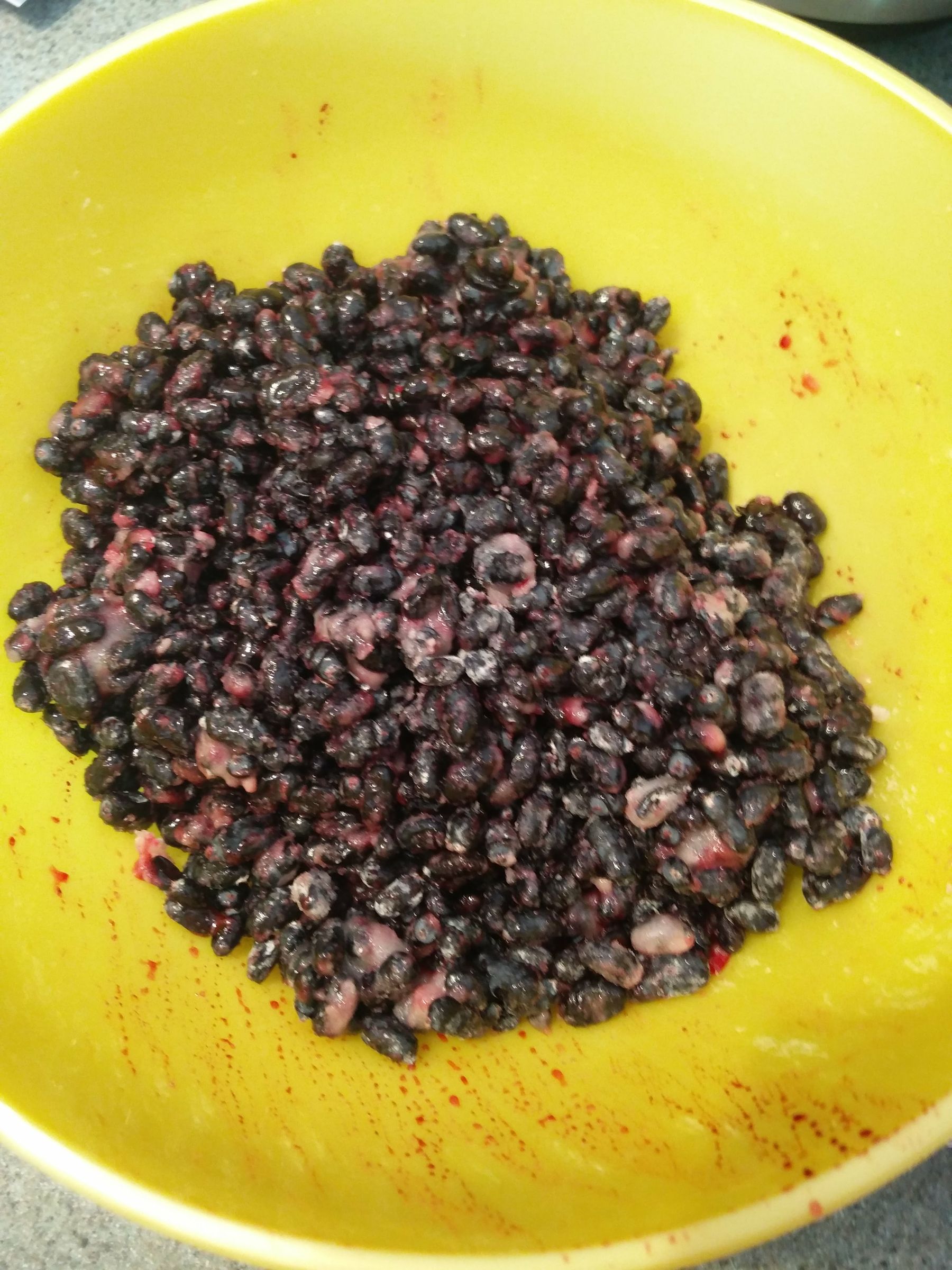 Haskap Berry Crumble 4 Steps (with Pictures) Instructables