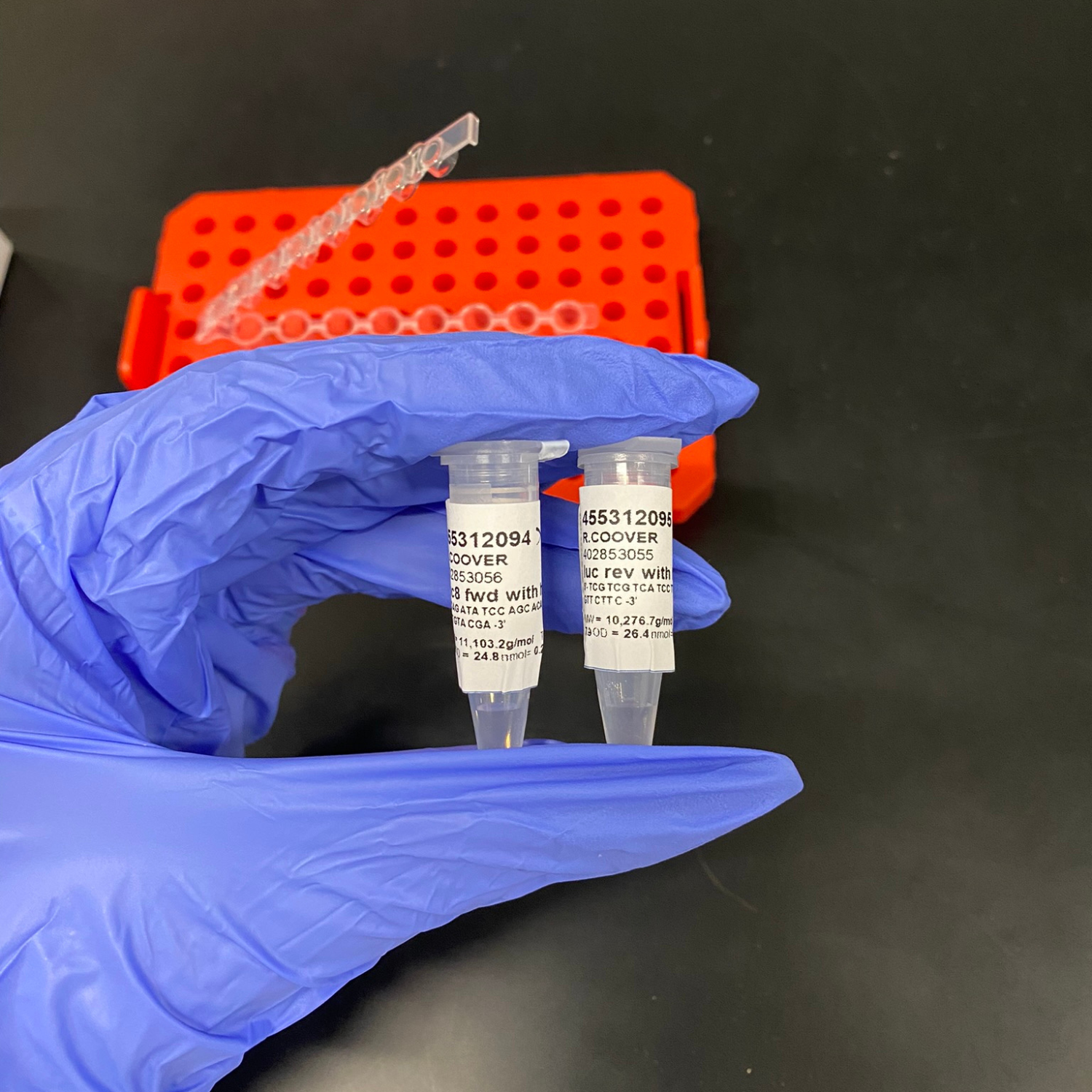 Mastering Molecular Cloning a Guide to Polymerase Chain Reaction (PCR