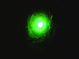 Pocket Laser Vortex of DOOOOM