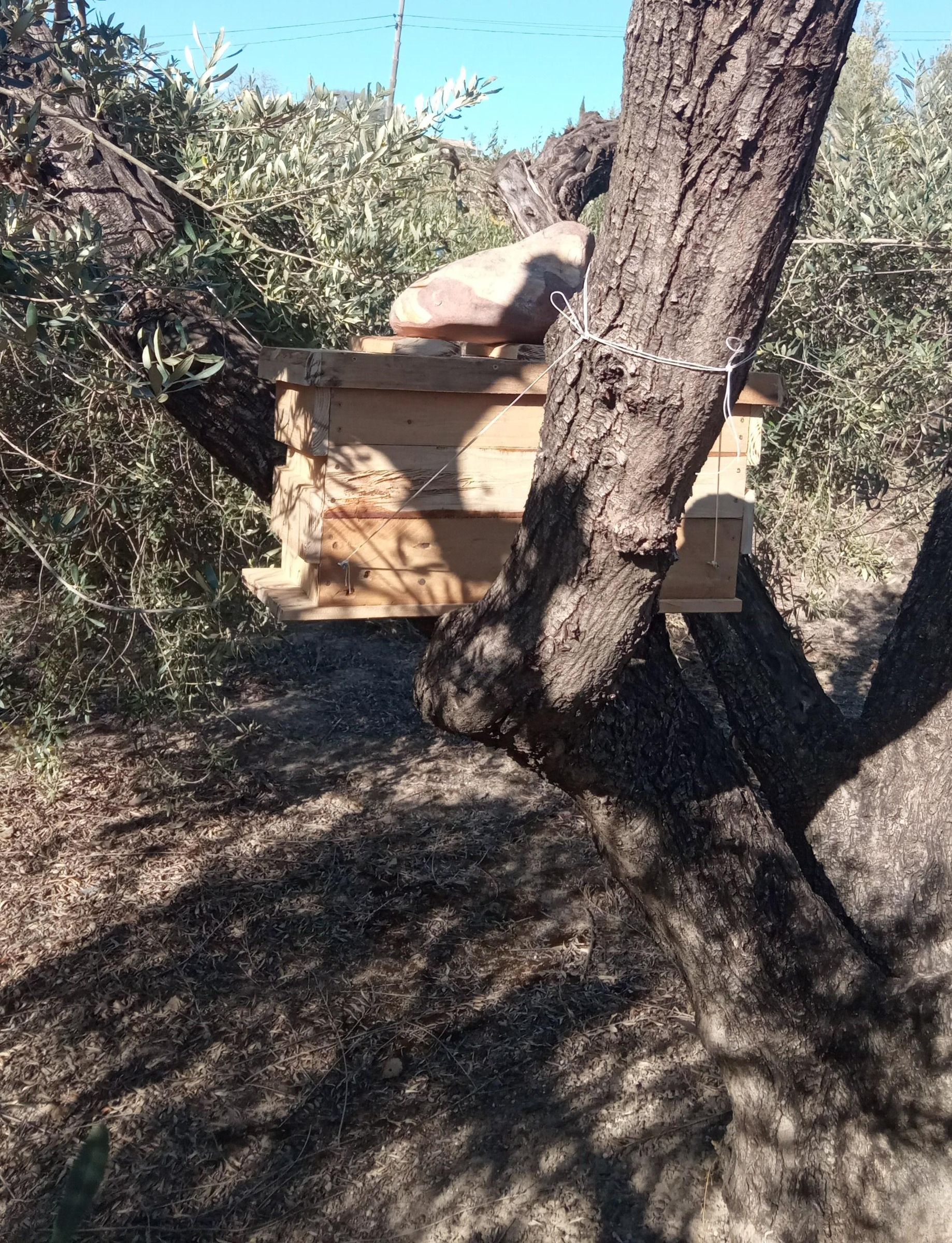 Nuc Beehive Box From Pallet Timber