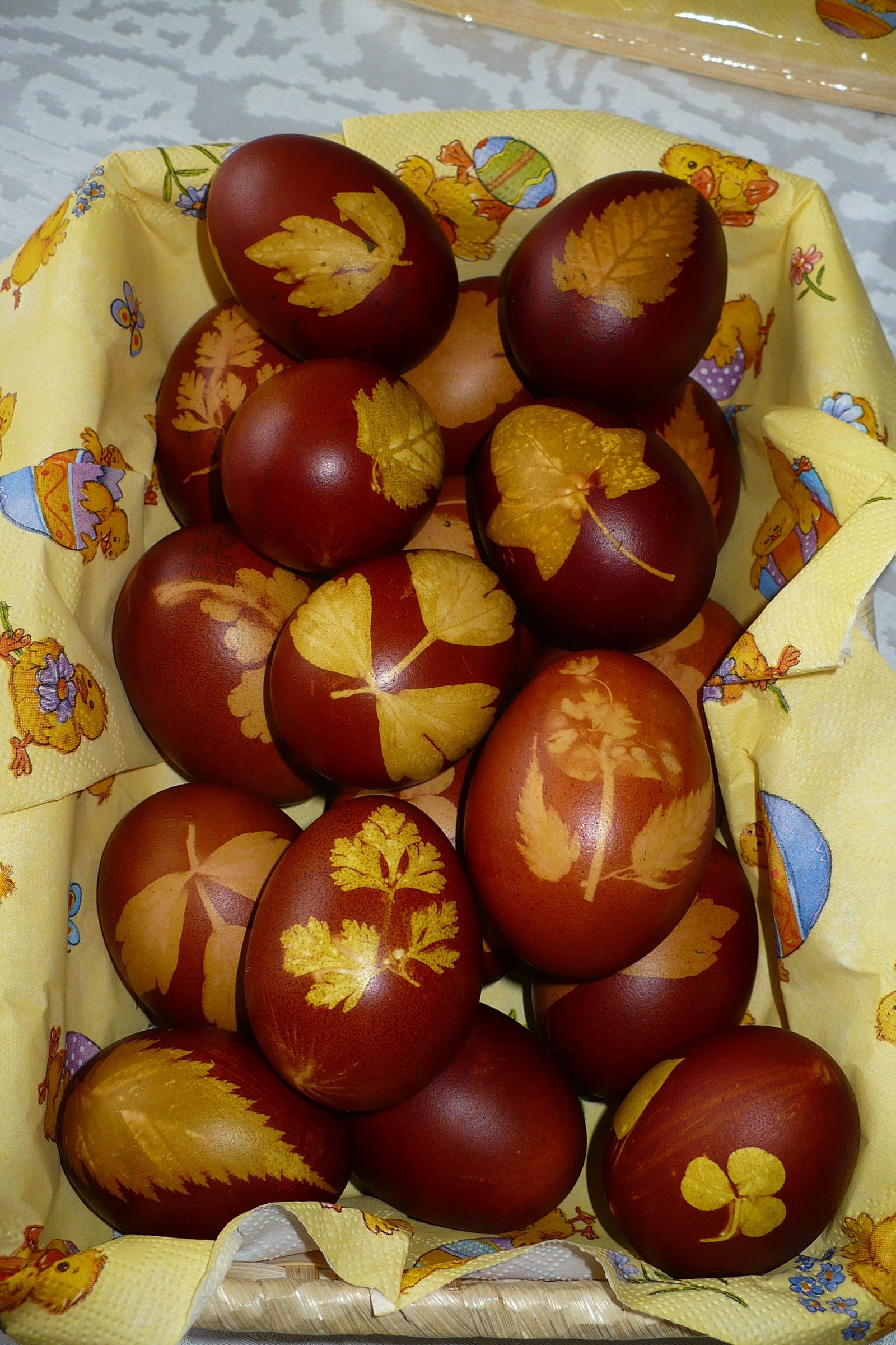 Bio Coloured Eggs