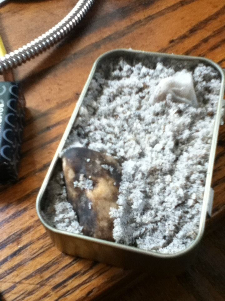 Altoids Zen Garden