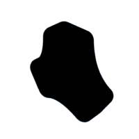 download {{ file.name }}