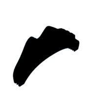 download {{ file.name }}