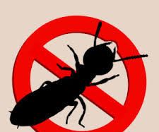 Why You Need to Hire a Pest Inspection Specialist to Detect Termites?