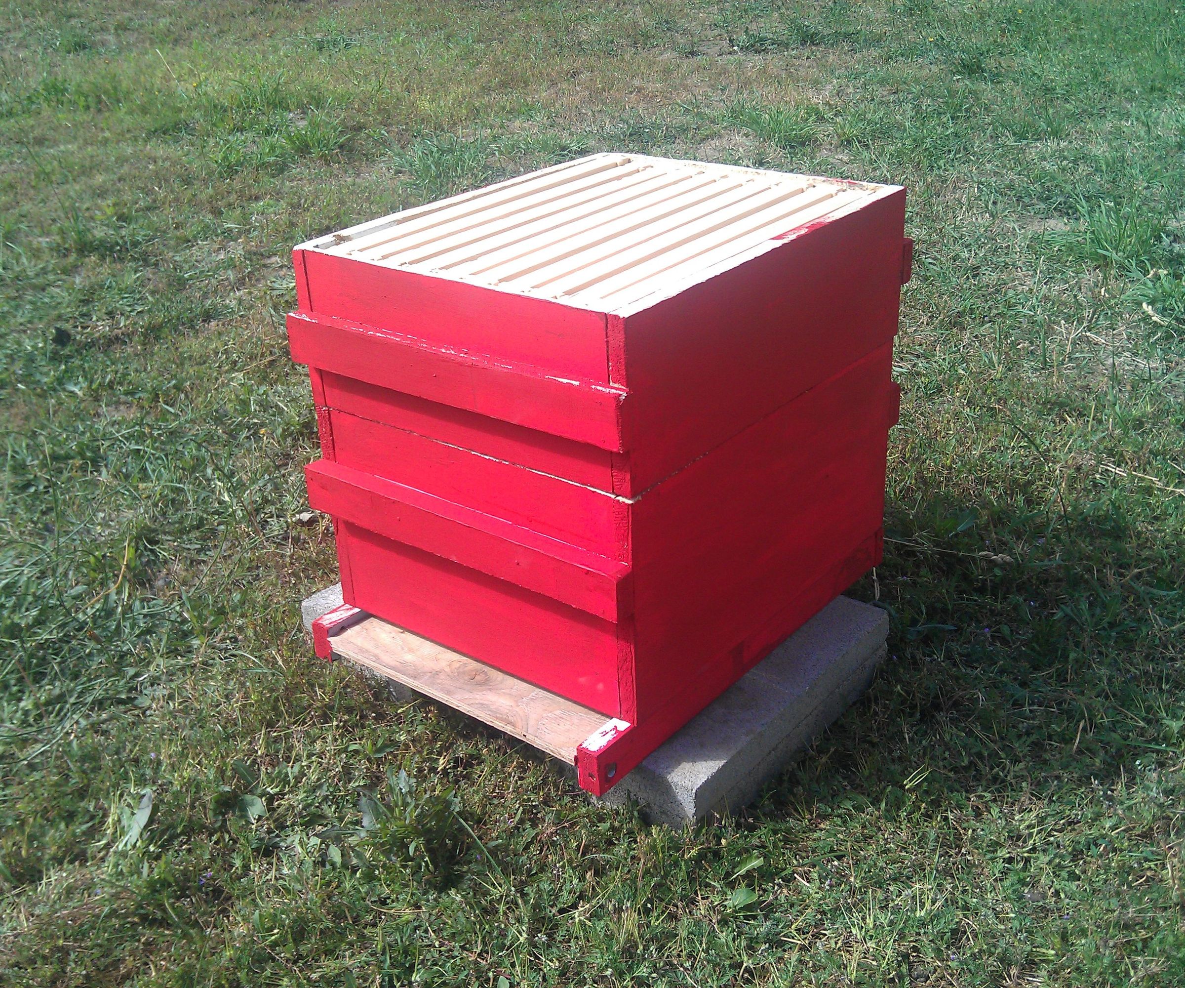10-Frame Langstroth Beehive