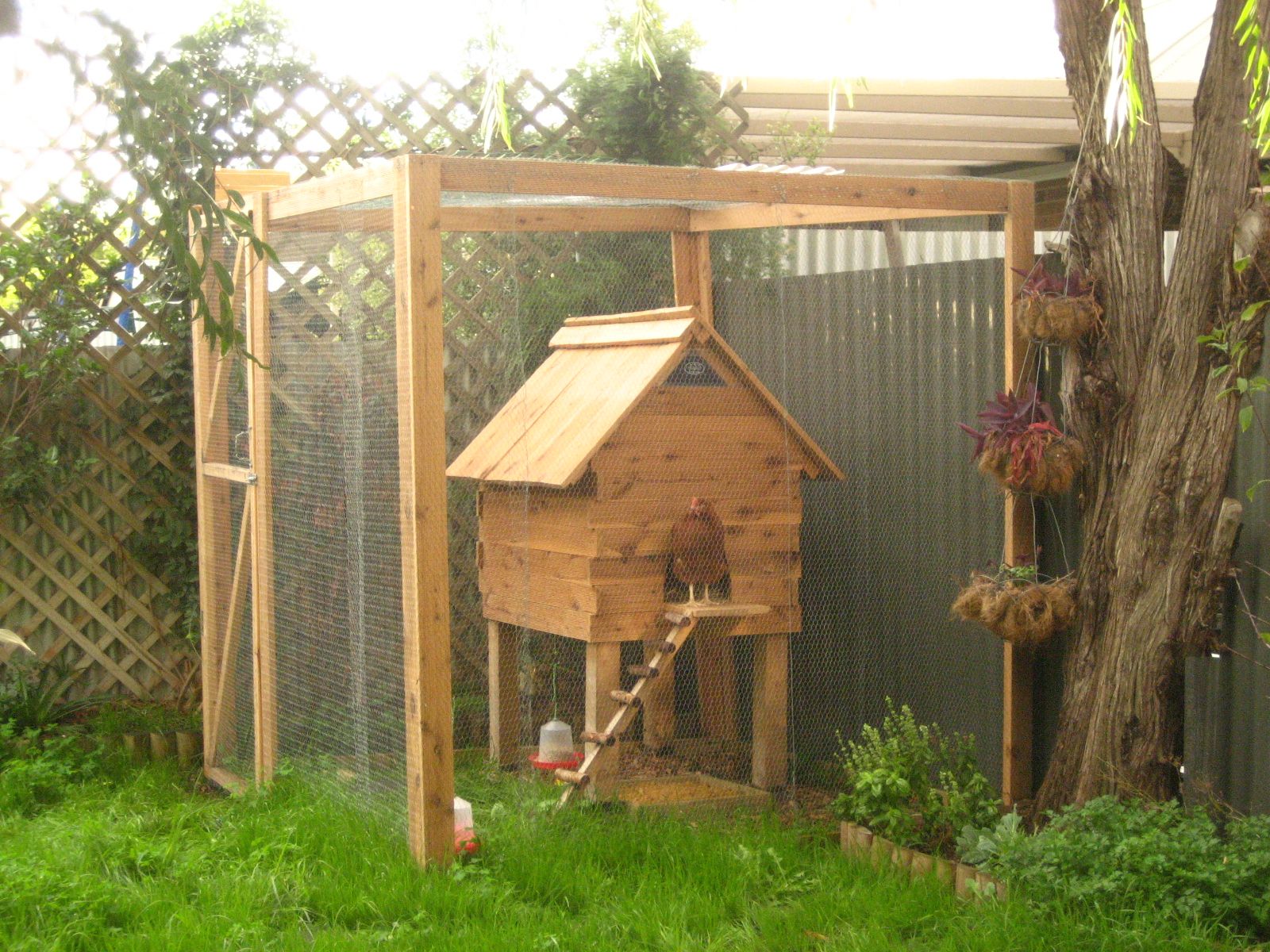 Guide to Chicken Coops Instructables