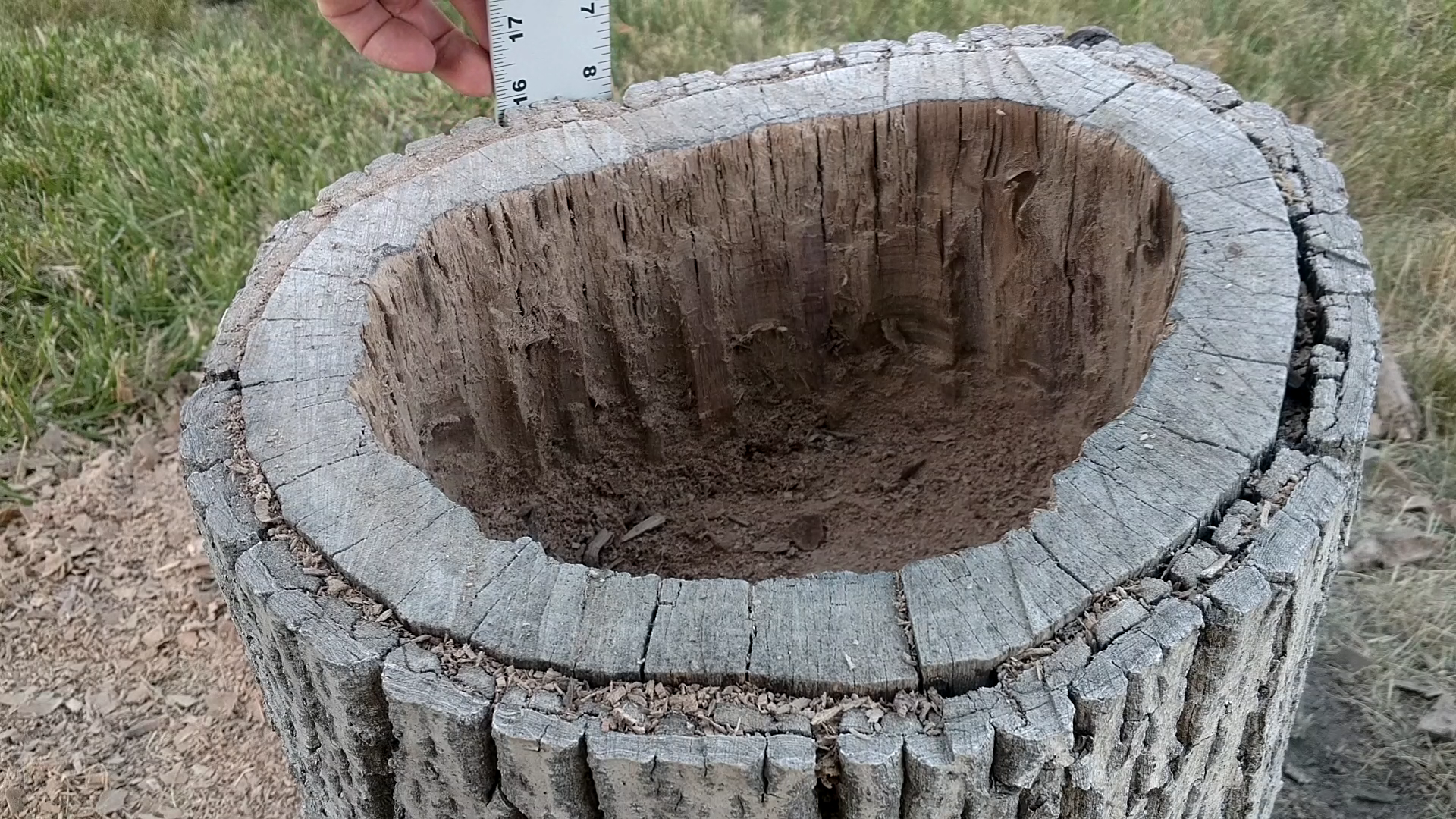 Turn A Stump Into A Planter 7 Steps With Pictures Instructables 