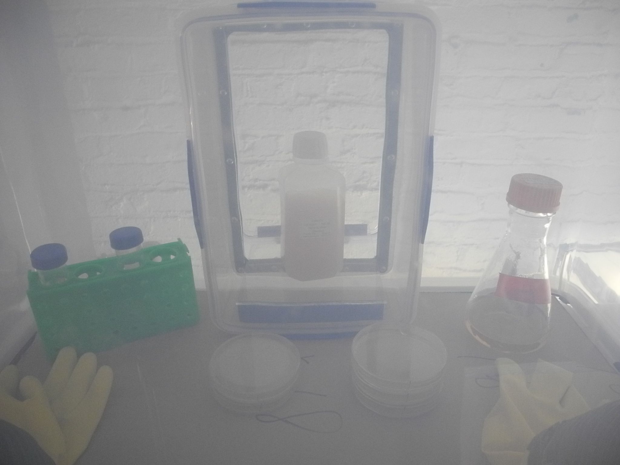 DIY Anaerobic Chamber (aka Glove Box) 12 Steps (with Pictures