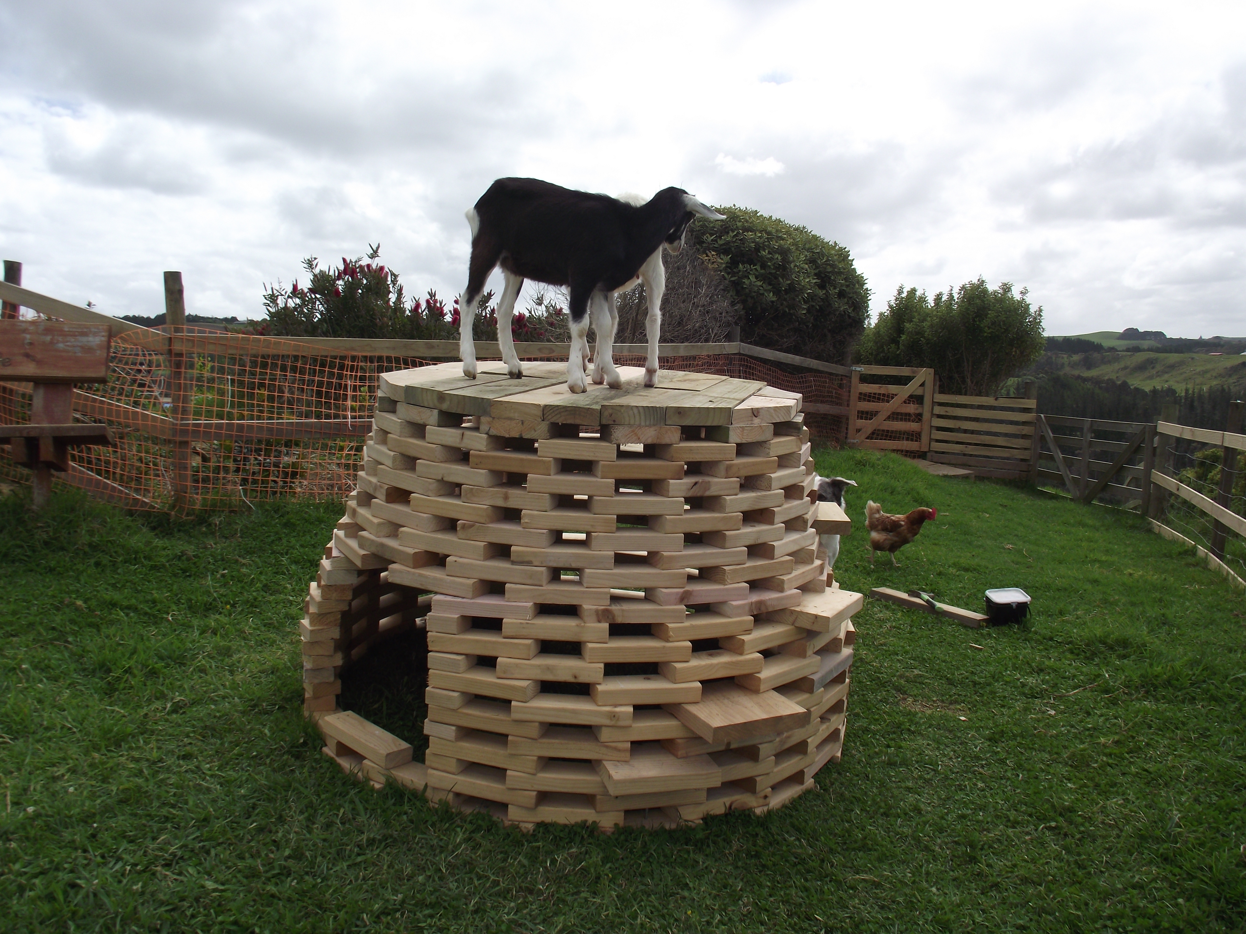 A Post Apocalypse, Post Global Warming Igloo OR the Playhive a