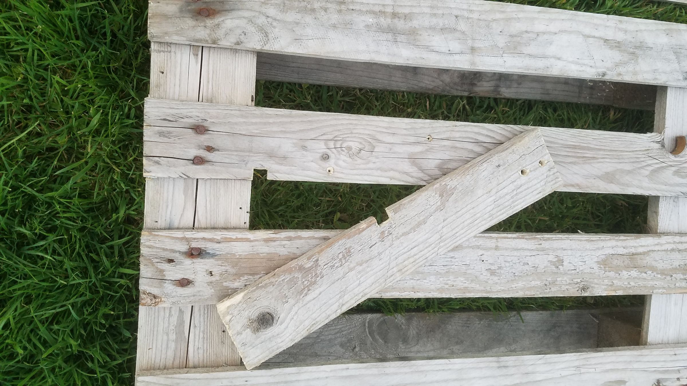 Pedal Operated Hand Sanitiser With Basic Tools, Pallets, Screws and