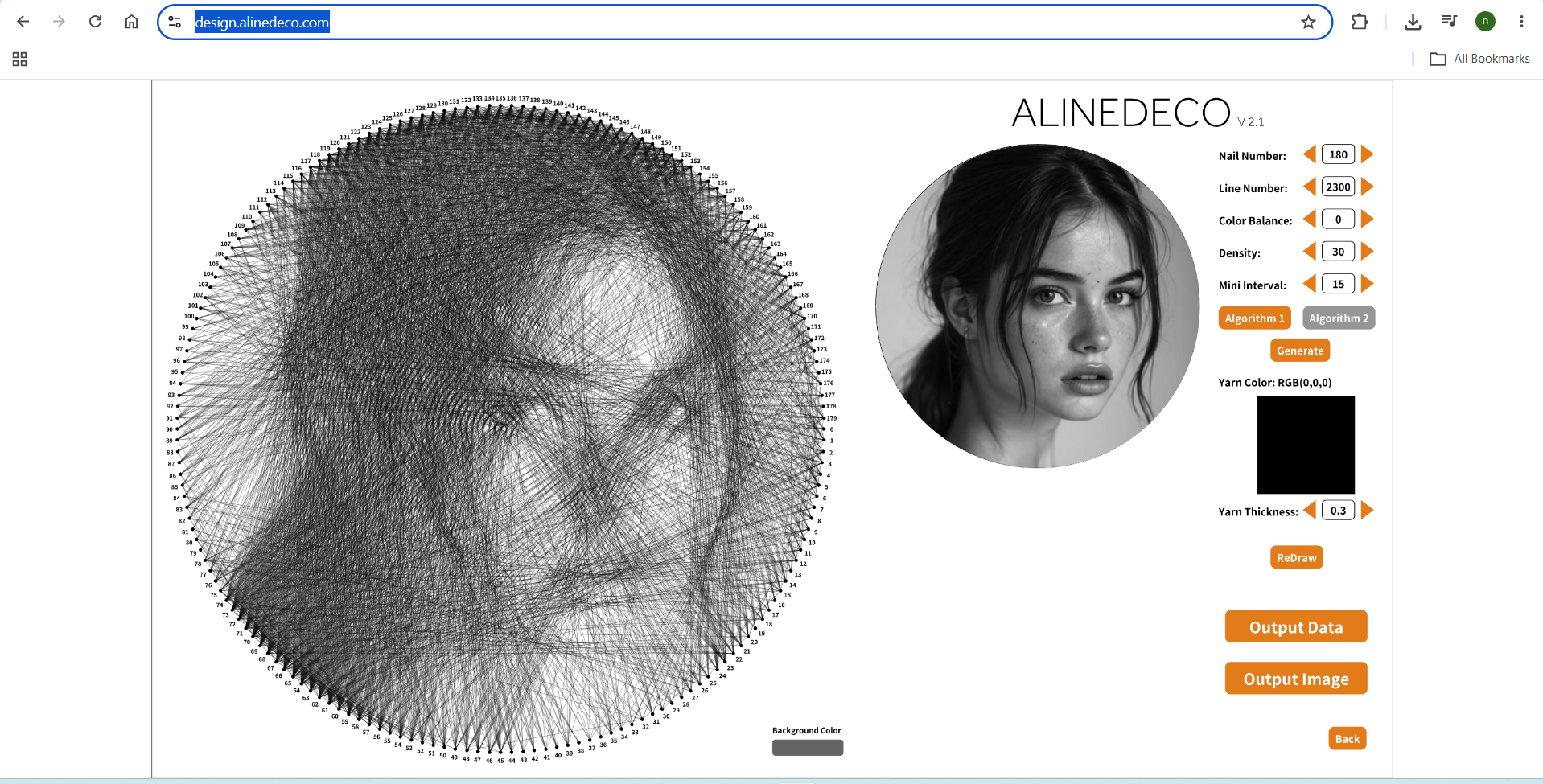 Metal Thread Portrait: Mapping a Face With Wire : 3 Steps (with ...