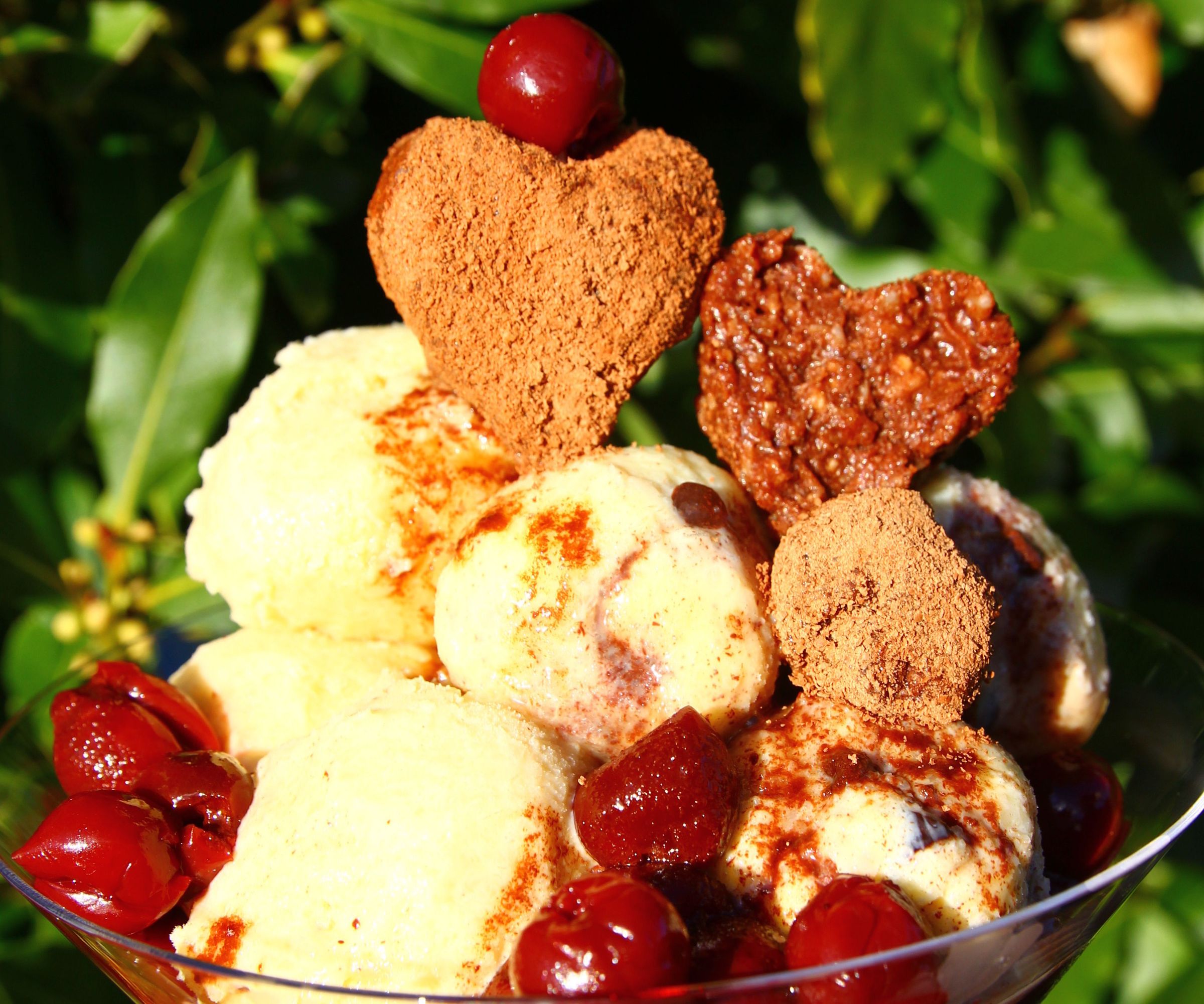 Black Forest Mocha Ice Cream Sundae  