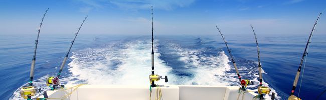 fish bite rage rod holders Rod Holder 1/2