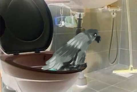 How to Potty Train Your Pet Bird
