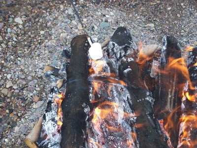 Step 4: Go! Roasting Over a Fire