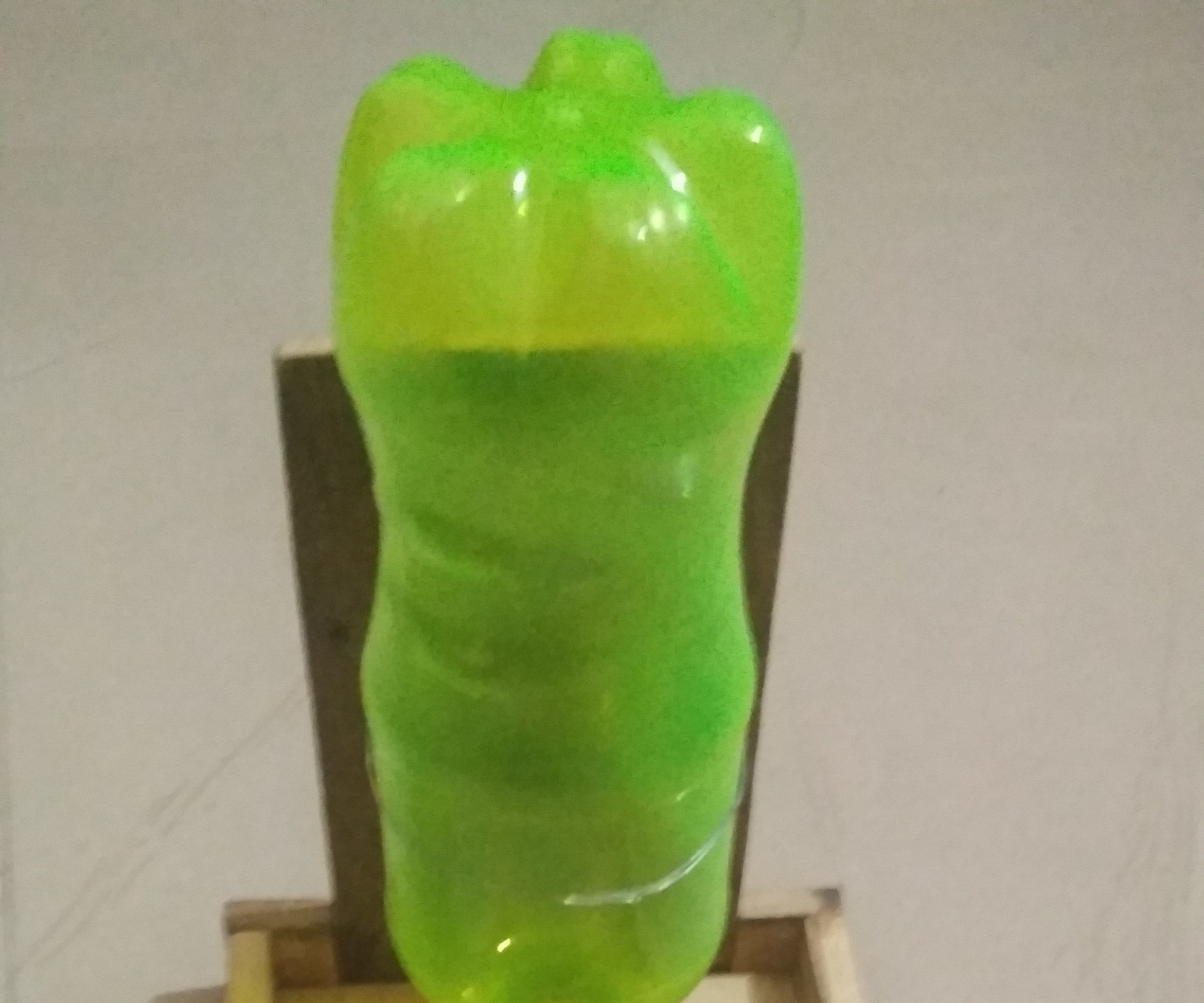 Wooden Bird Feeder for Birde