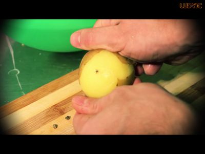 THE POTATO