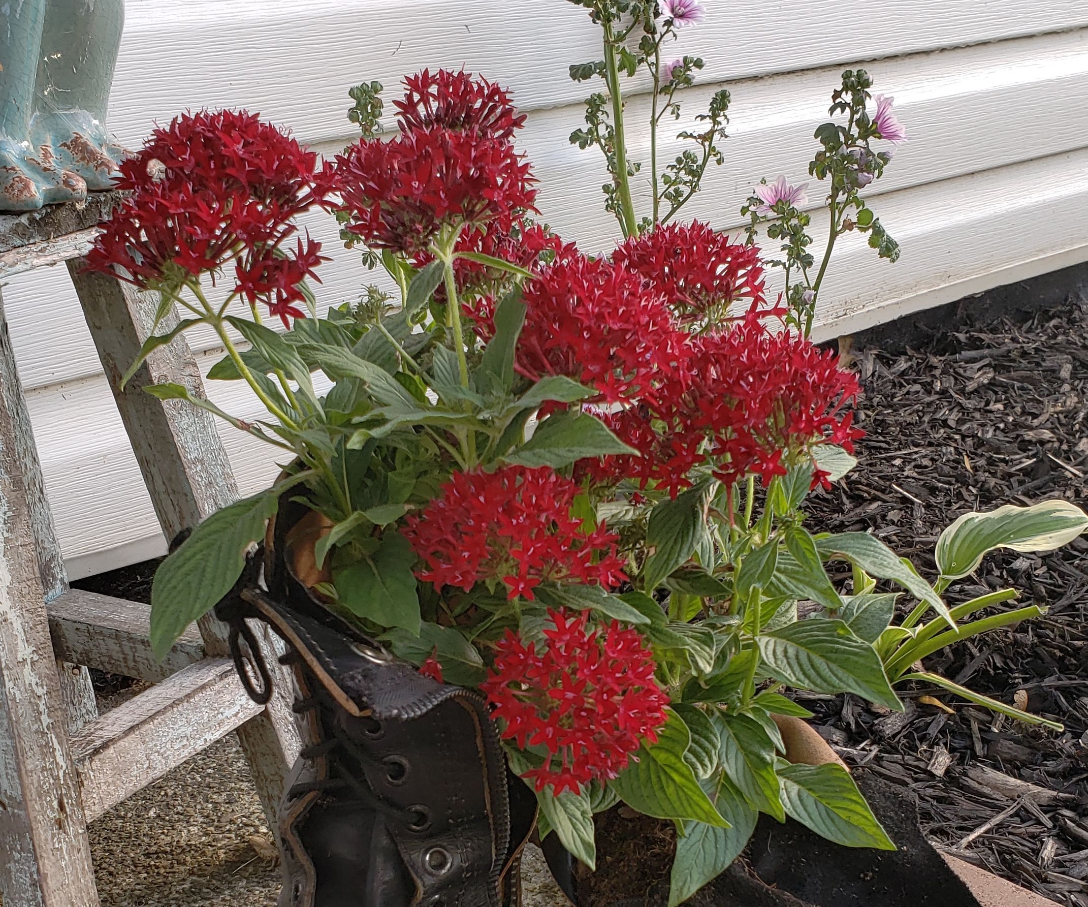 Old Boot Planters