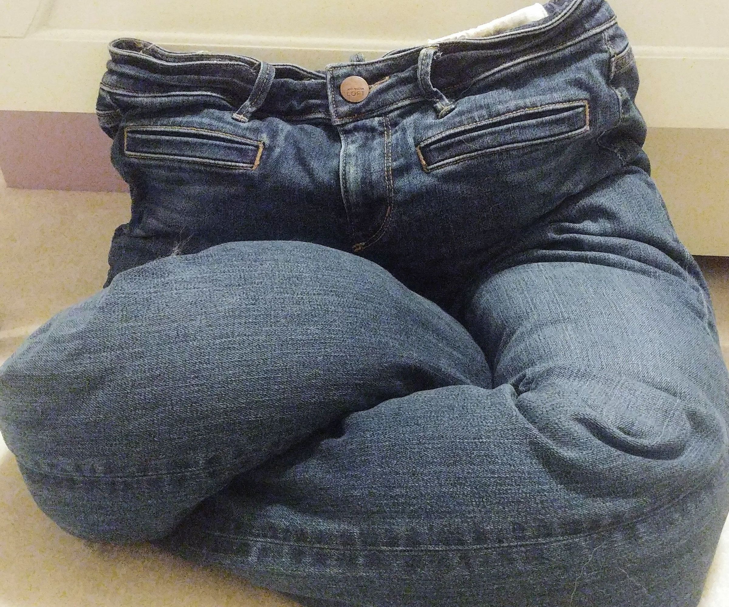 DIY Lap Bed for Your Pet