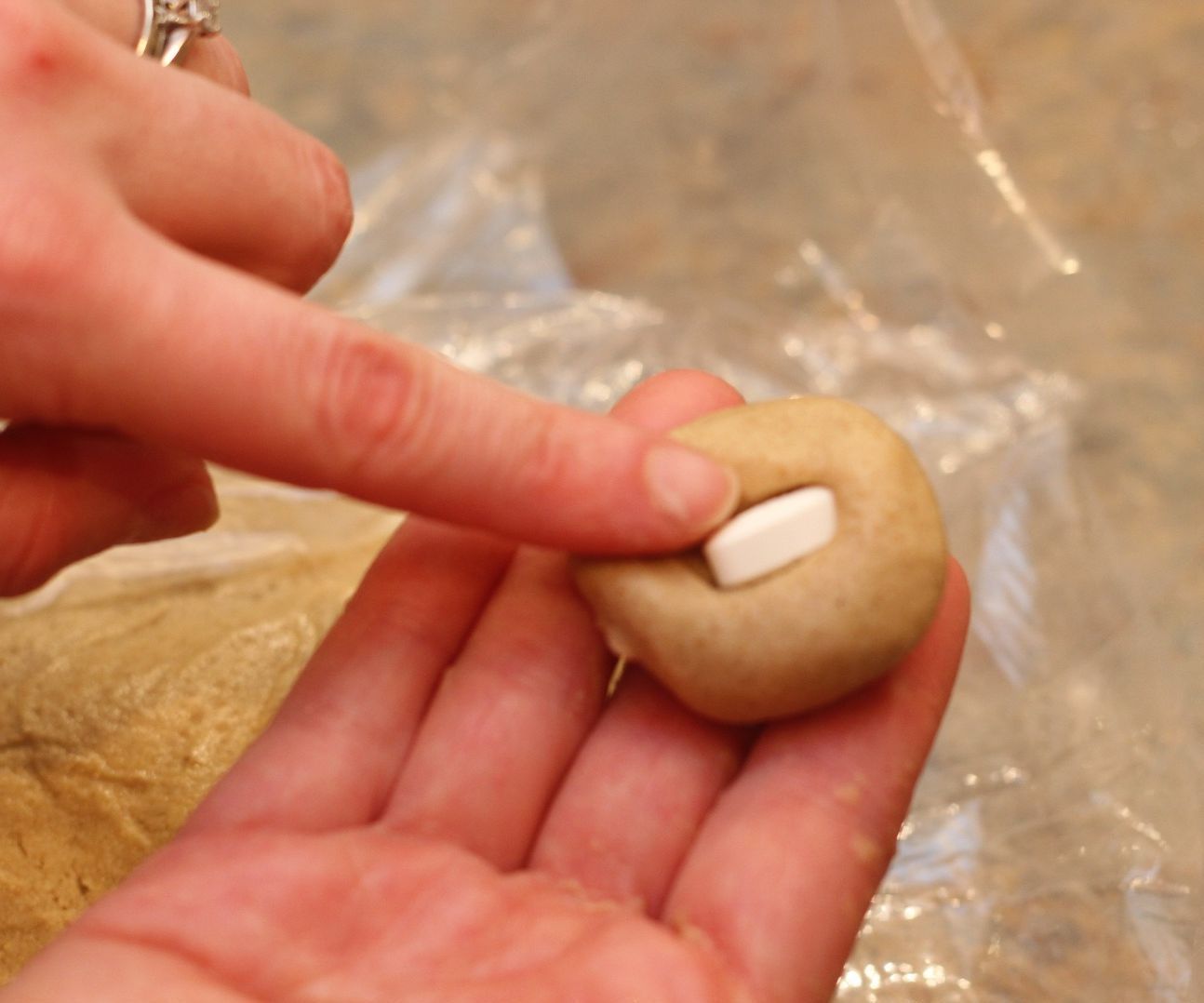 2 Ingredient Dog Pill Dough