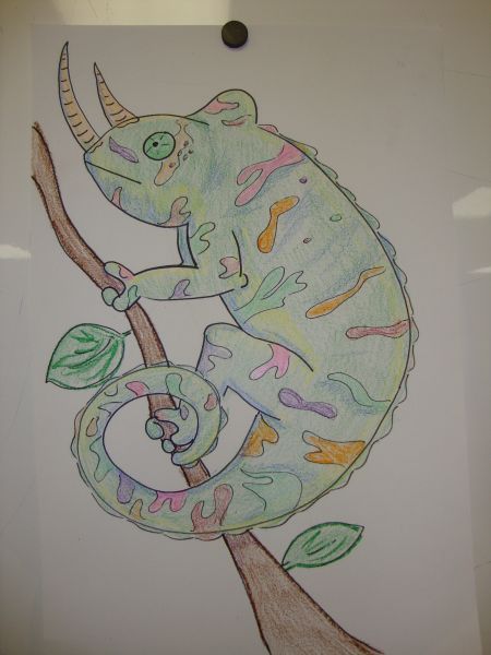 Drawing an Easy Chameleon