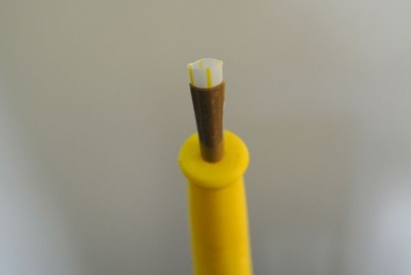 Double-reed From a Drinking Straw