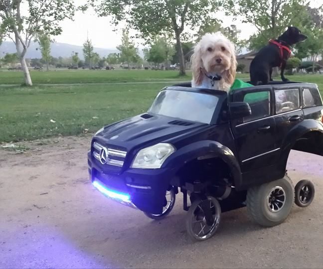 How to make a low cost Mobile Robot platform